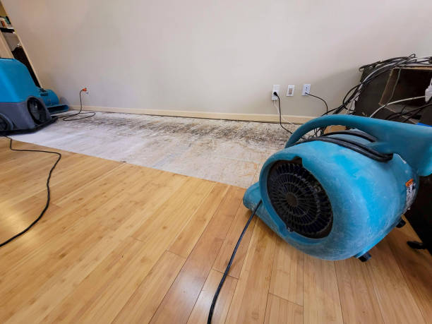 Professional Structural Drying technician working in Ochopee, FL